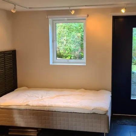 Suitable For 8 During Xc Championship تروندهايم