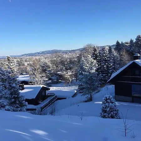 فيلة Suitable For 8 During Xc Championship