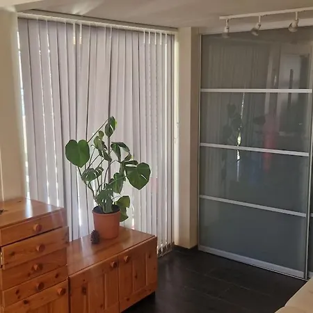 Suitable For 8 During Xc Championship * Trondheim