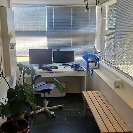 Suitable For 8 During Xc Championship *