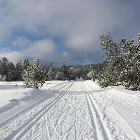 Suitable For 8 During Xc Championship Trondheim