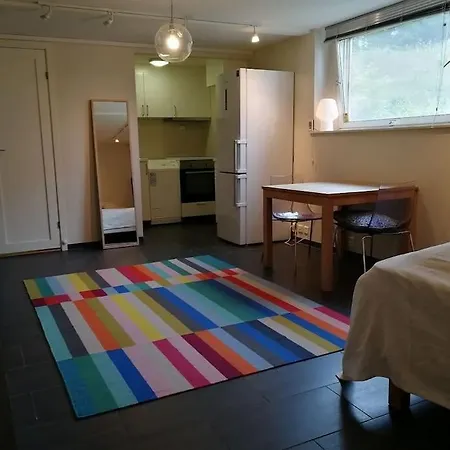 Suitable For 8 During Xc Championship *